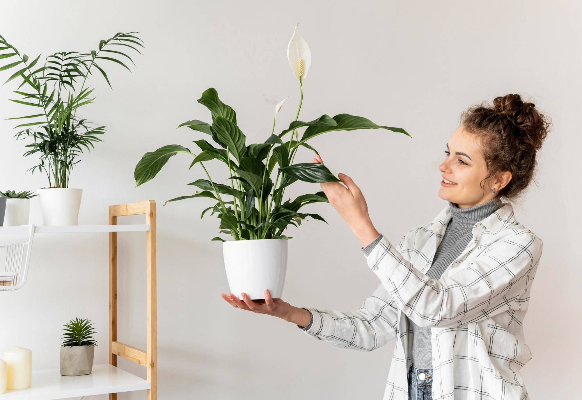 hanging plants