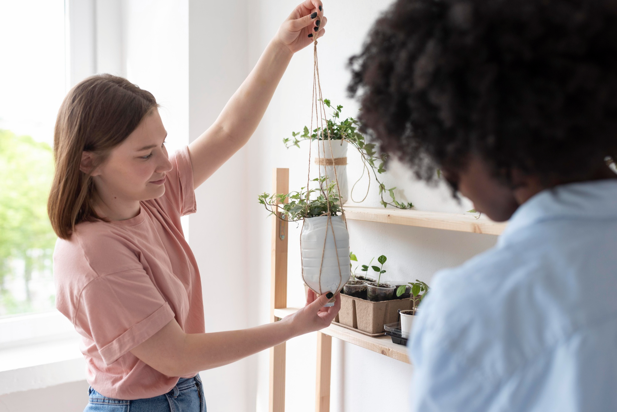 hanging plants