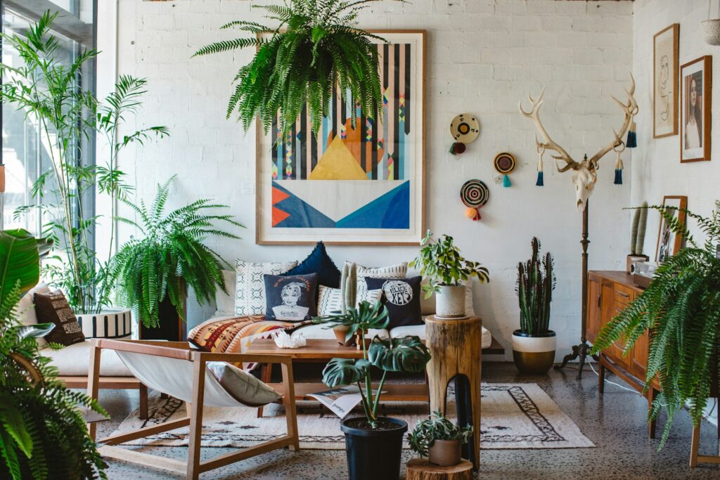 plants in living room