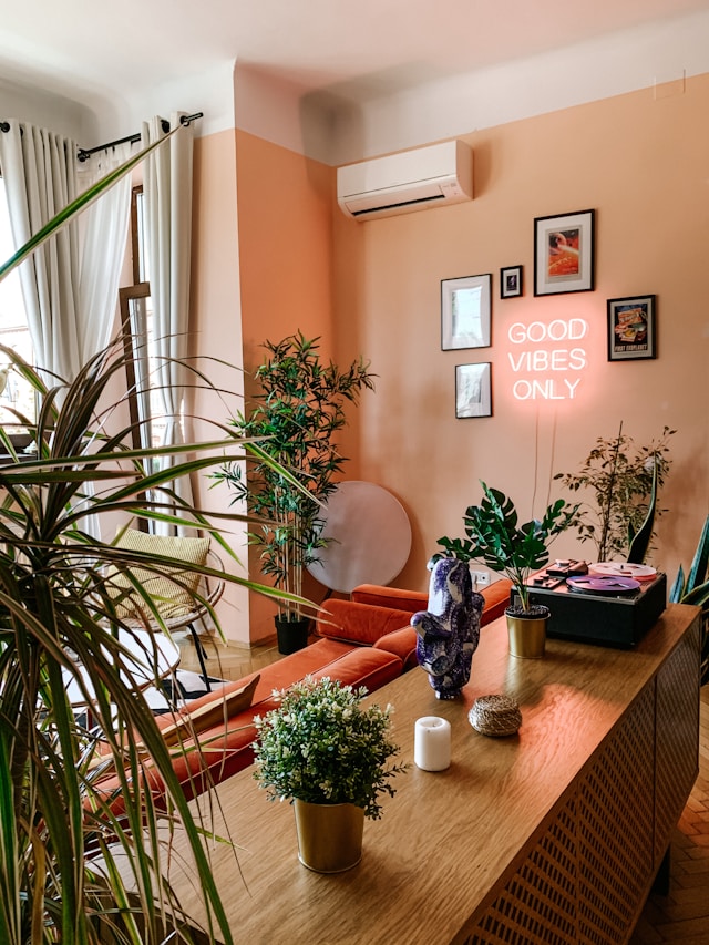 plants in living room